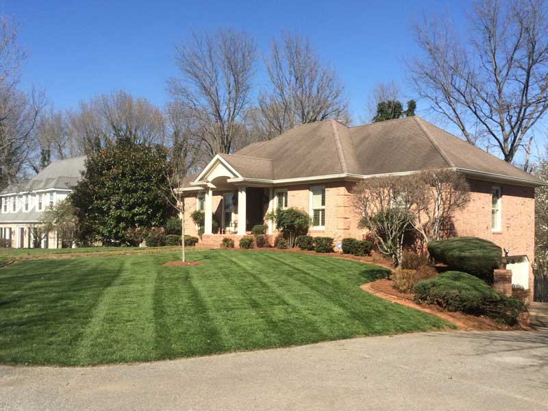 residential home with a trimmed yard